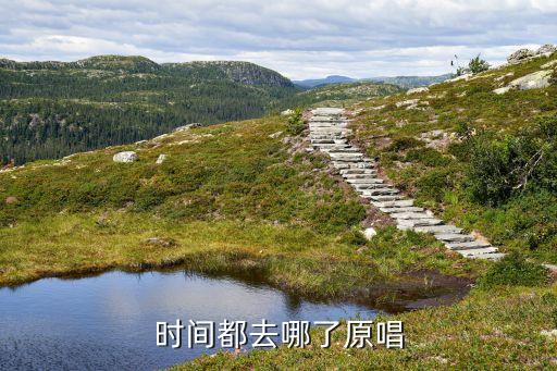 时间都去哪了原唱