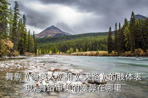 舞剧《睡美人》和《 天路》的肢体表现, 舞蹈审美的差异在哪里