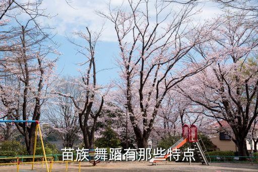 男铿锵有力的军人舞蹈,苗族舞蹈起源很早展示了当地土地的文化