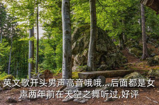 英文歌开头男声高音哦哦…后面都是女声两年前在天空之舞听过,好评