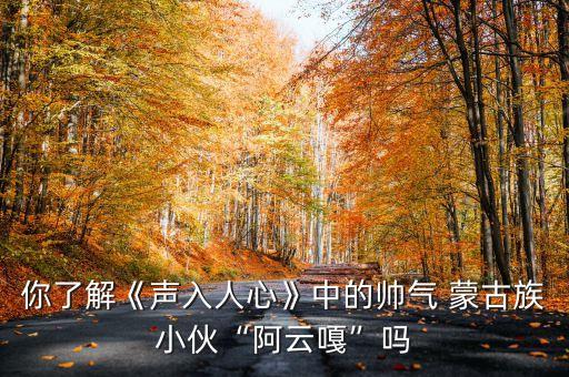 你了解《声入人心》中的帅气 蒙古族小伙“阿云嘎”吗