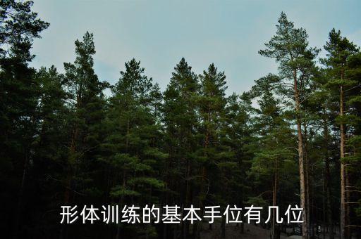  形体训练的基本手位有几位