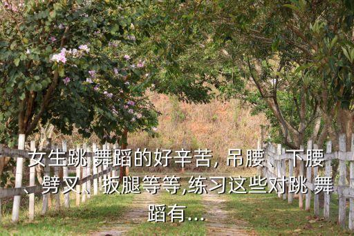 舞蹈技巧吊腰,舞蹈基本功:我也练舞
