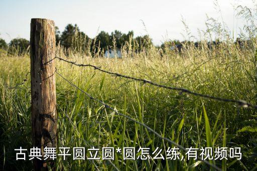 古典舞平圆立圆*圆怎么练,有视频吗