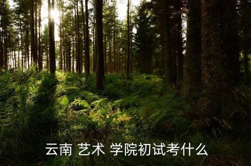 云南艺术学院舞蹈招生,云南/1233艺术学院2019年招生