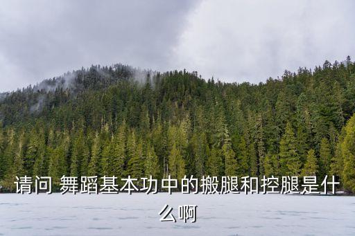 请问 舞蹈基本功中的搬腿和控腿是什么啊