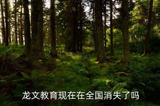 龙文舞蹈教学,受广州佛山*影响龙文教育暂时关闭两个教学点