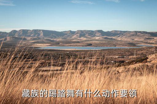  藏族的踢踏舞有什么动作要领