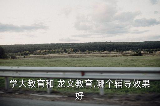 学大教育和 龙文教育,哪个辅导效果好