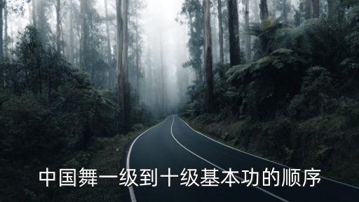 中国舞一级到十级基本功的顺序