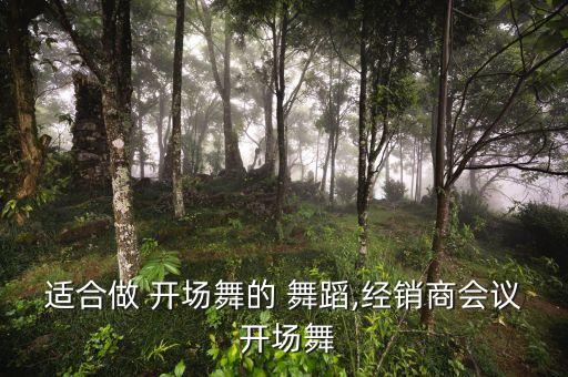 什么舞蹈适合开场舞,*下的招商会需要更多舞蹈元素