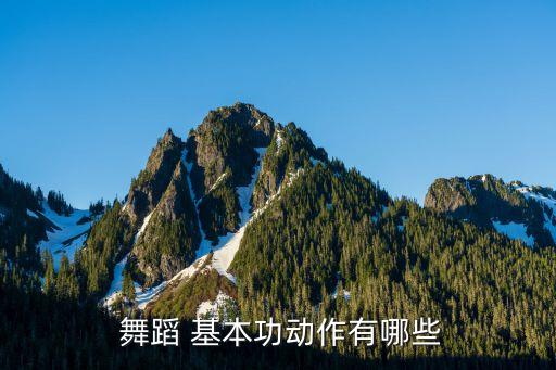  舞蹈 基本功动作有哪些