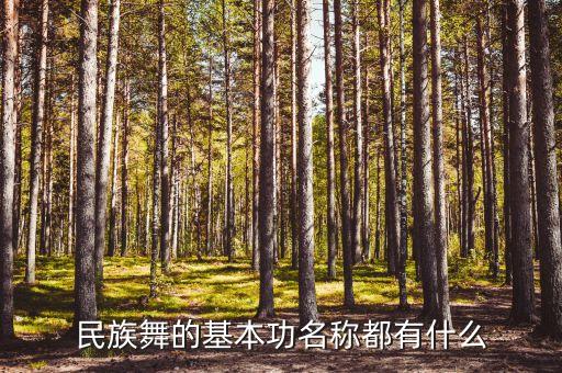 摇臂组合 舞蹈视频.,基础训练课要注重身体姿态精细化节奏