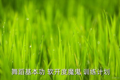 舞蹈基本功 软开度魔鬼 训练计划