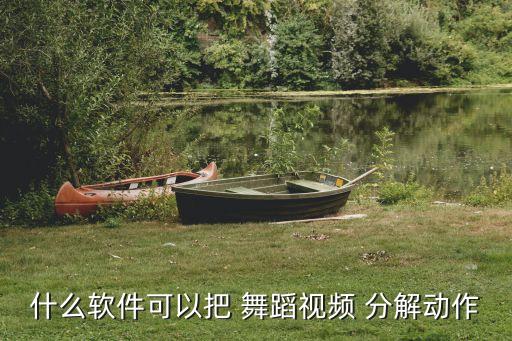 什么软件可以把 舞蹈视频 分解动作