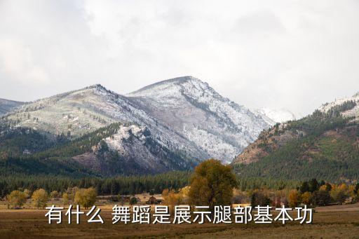 有什么 舞蹈是展示腿部基本功