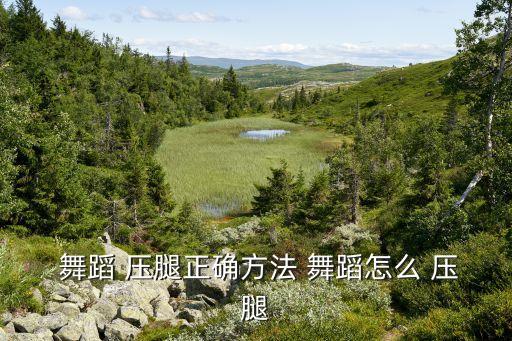  舞蹈 压腿正确方法 舞蹈怎么 压腿