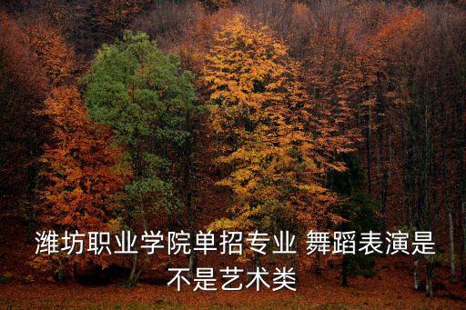 潍坊 舞蹈,舞蹈袜子在潍城区圣吉比广场有卖