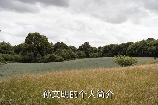 现代舞蹈家 孙,中国十大杰出青年