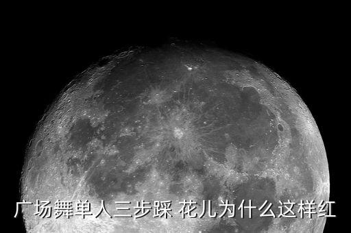 花儿舞蹈*舞,花儿朵朵小朋友舞蹈大赛含金量高怎么办?