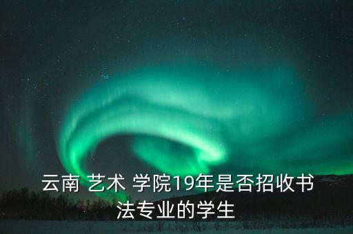  云南 艺术 学院19年是否招收书法专业的学生