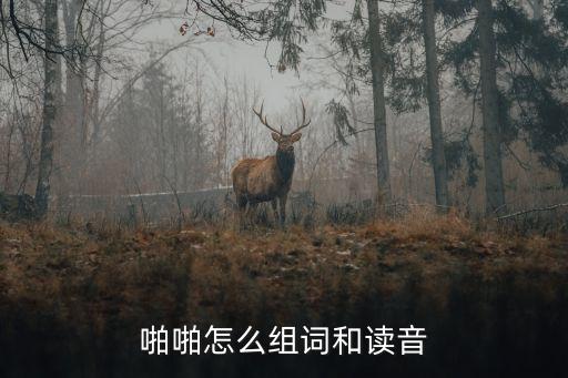 啪啪怎么组词和读音