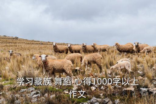 学习藏族 舞蹈 心得1000字以上作文