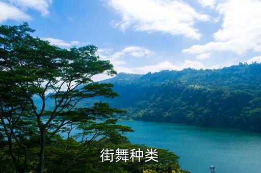 扭b舞蹈,第一个街舞以动作为主分为嘻哈和霹雳舞