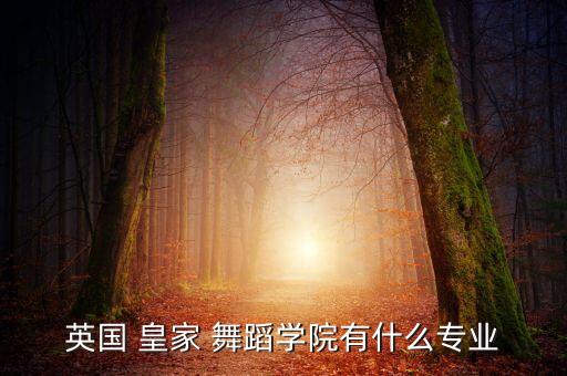 丹麦皇家舞蹈,法国芭蕾发展迅速皇家舞蹈成立规范芭蕾训练