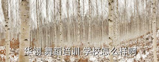  华翎 舞蹈培训 学校怎么样啊