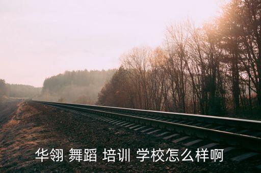 华翎 舞蹈 培训 学校怎么样啊