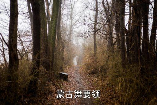 蒙古族幼儿舞蹈组合,蒙古族传统舞蹈改编成顶碗舞