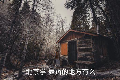  北京学 舞蹈的地方有么