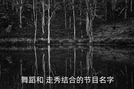  舞蹈和 走秀结合的节目名字