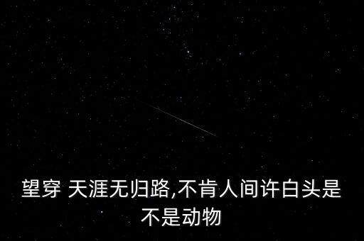 望穿 天涯无归路,不肯人间许白头是不是动物