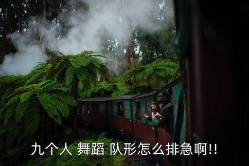 九个人 舞蹈 队形怎么排急啊!!