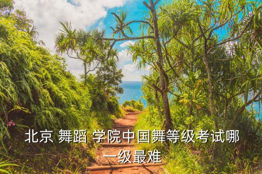  北京 舞蹈 学院中国舞等级考试哪 一级最难