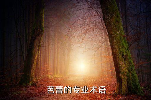 形体芭蕾舞蹈者图片,英国芭蕾舞蹈团在国际享有很高声誉