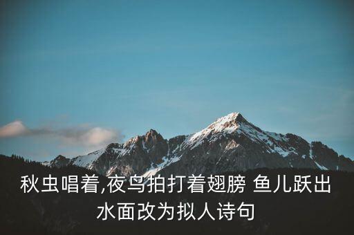 鱼儿跃的舞蹈视频,鸟儿拍翅跃出水面展现动人画面