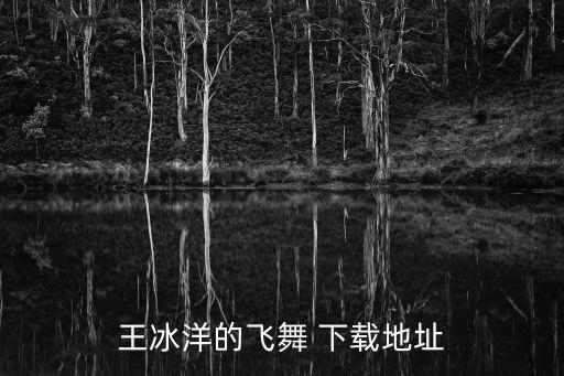王冰洋的飞舞 下载地址