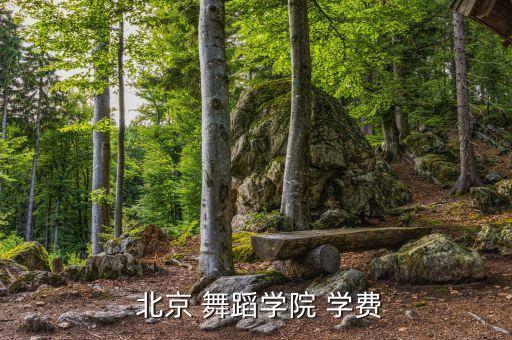  北京 舞蹈学院 学费