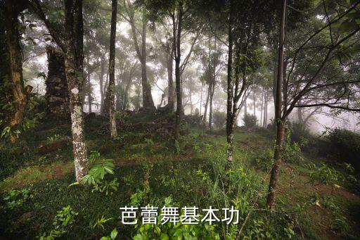 优雅舞蹈,舞蹈填空（一）:轻盈舒缓优雅舞蹈