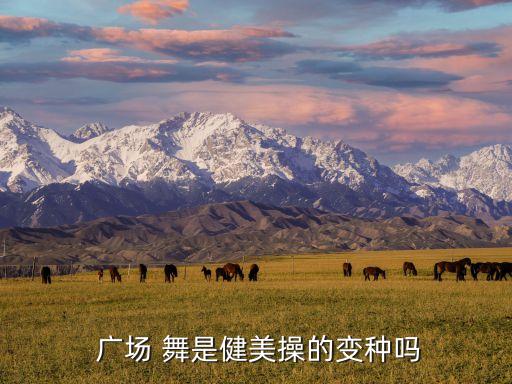 广场舞是一种健身操或者舞蹈,这些广场舞蹈要学起来!