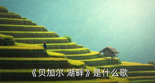 老师舞蹈贝尔加湖畔,歌词讲了什么?