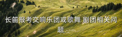 舞蹈剧团,刘福洋退出《舞林争霸》比赛?