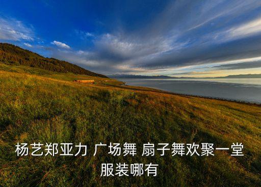 杨艺郑亚力 广场舞 扇子舞欢聚一堂服装哪有