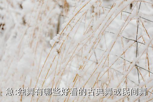 急:独舞有哪些好看的古典舞或民间舞