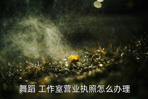 上海龙舞蹈工作室,本地工作室如何申请营业执照?