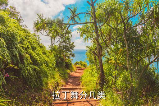 拉丁舞分几类