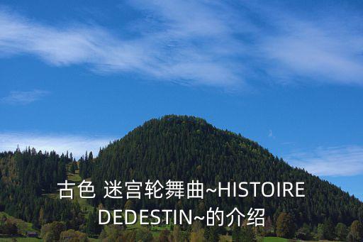 古色 迷宫轮舞曲~HISTOIREDEDESTIN~的介绍